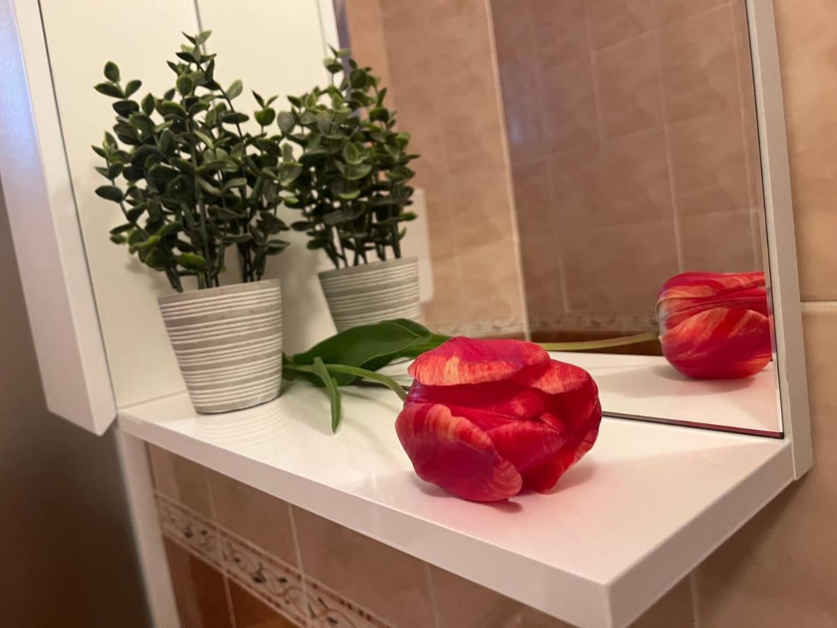 Apartment Lala Сомбор Экстерьер фото